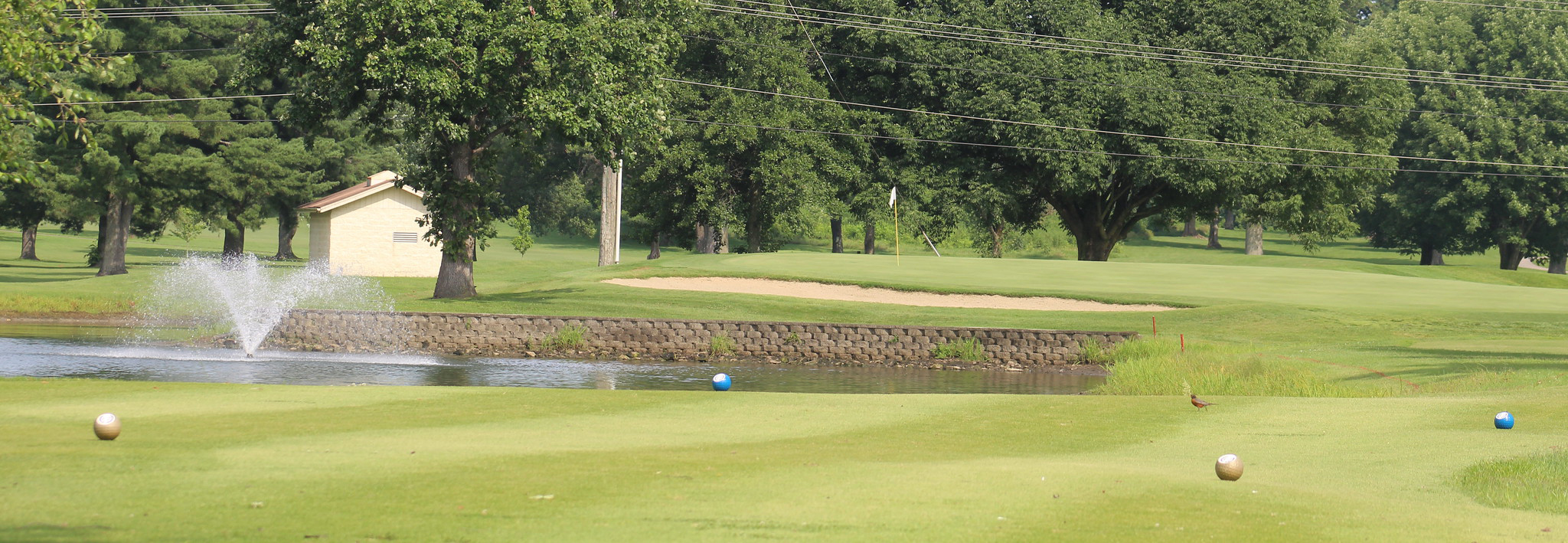 Kentucky Junior Golf